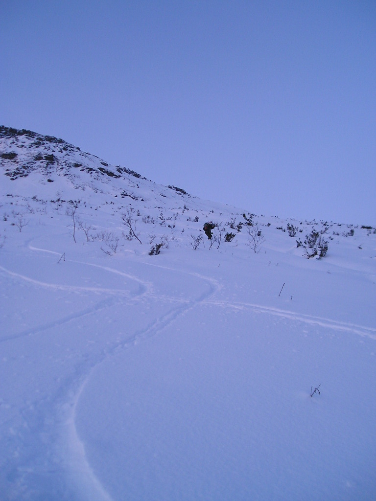 Telemarksvinga